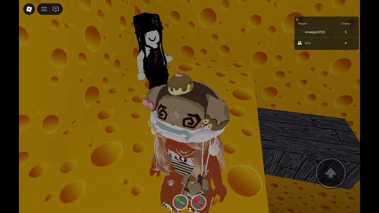 Roblox met staysie