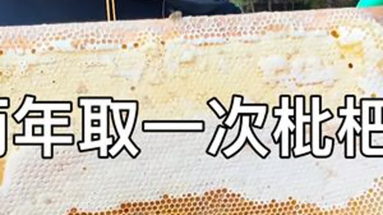 零饲喂两年没有取过蜜了，看看能取多少蜜。 #农村养蜂人 #土蜂蜜 #原生态百花蜜 #大山里的味道 #土蜂蜜好吃又甜蜜