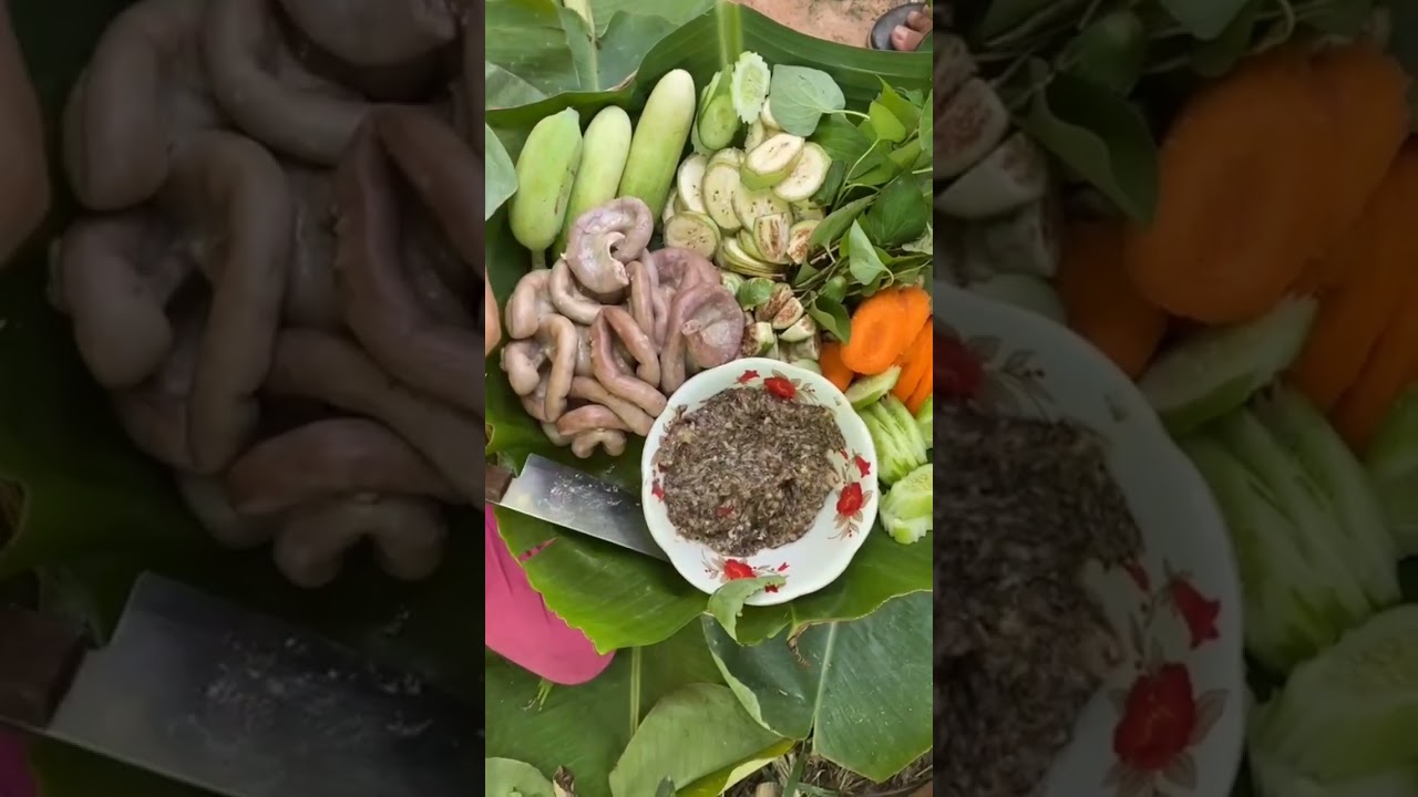 Pig Intestine #intestine