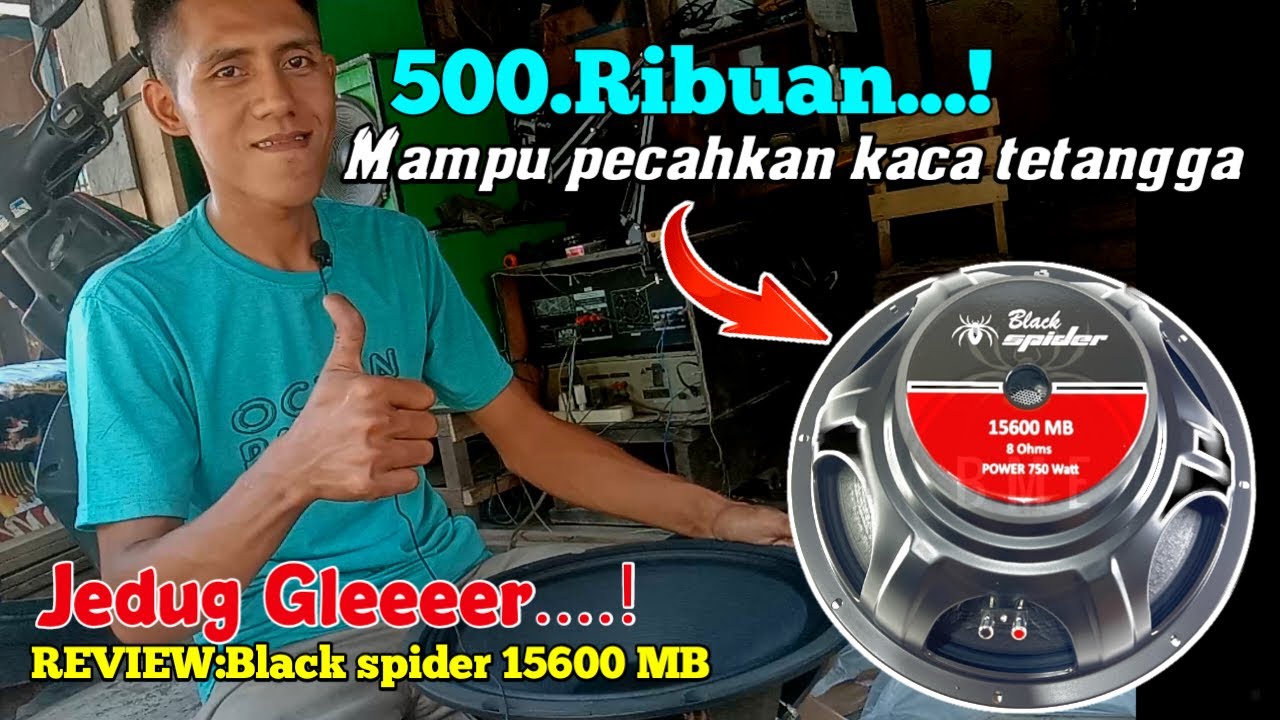 Unboxing Speaker Black Spider 15600 MB || Tes sepaker Harga 500 ribuan Horeg BLACK SPIDER