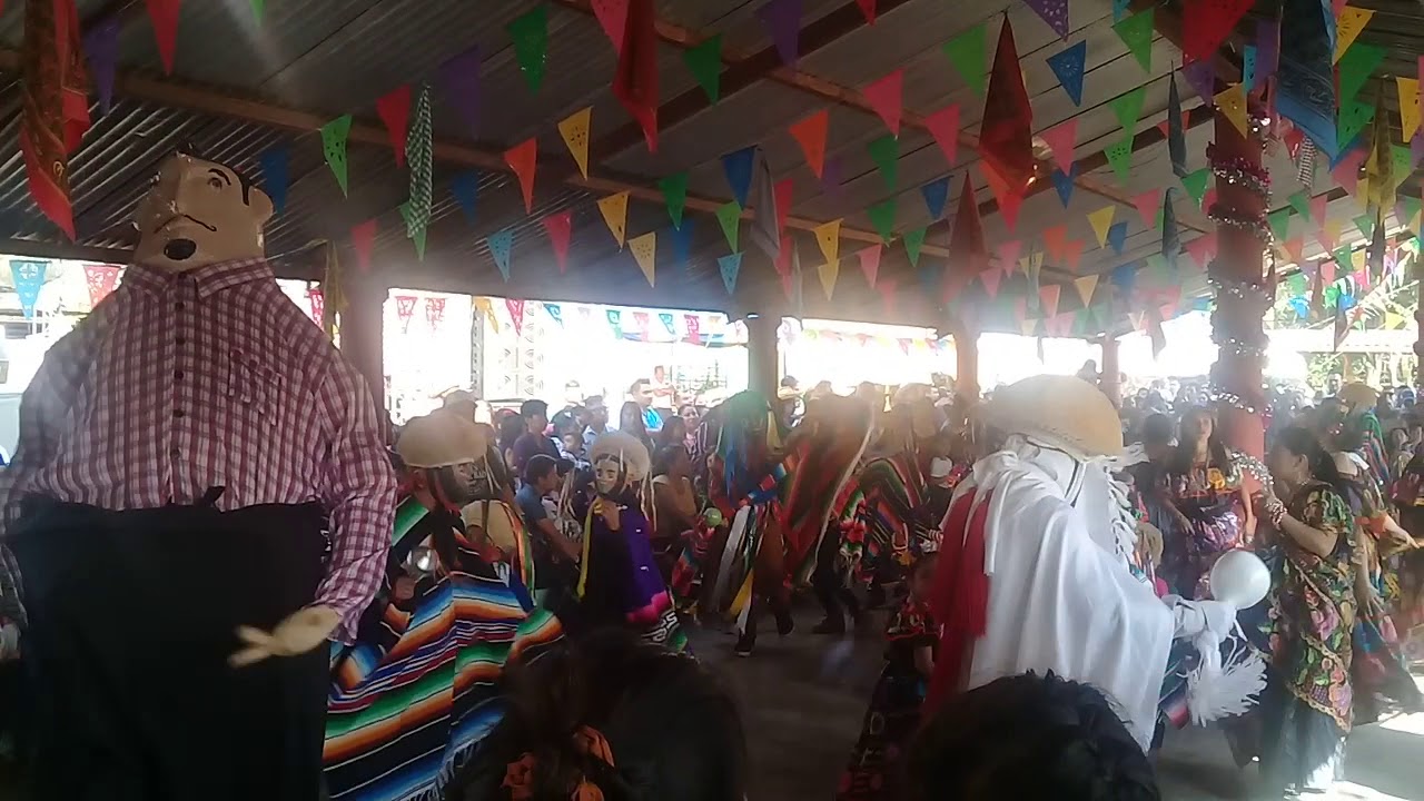 Parachicos  de la Virgen de Candelaria ,San Vicente Guerrero,2 de febrero