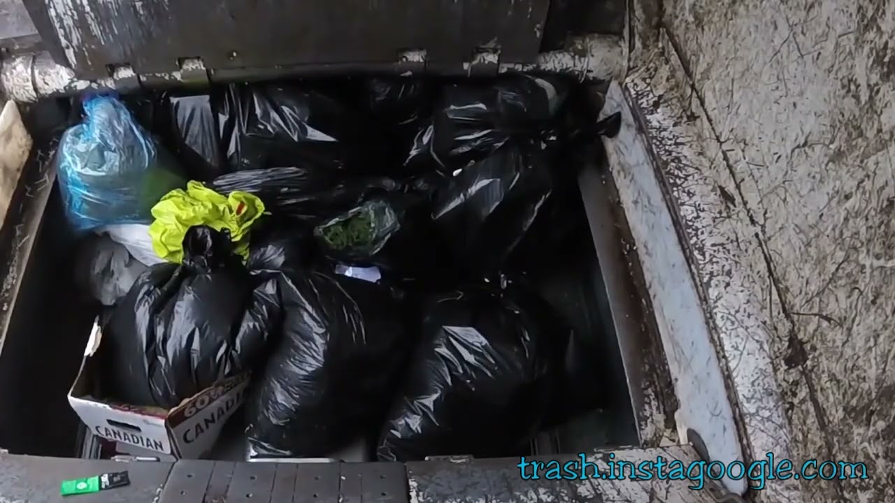 The Crushing Power of Garbage Trucks: Pressing Stinky Trash Bags