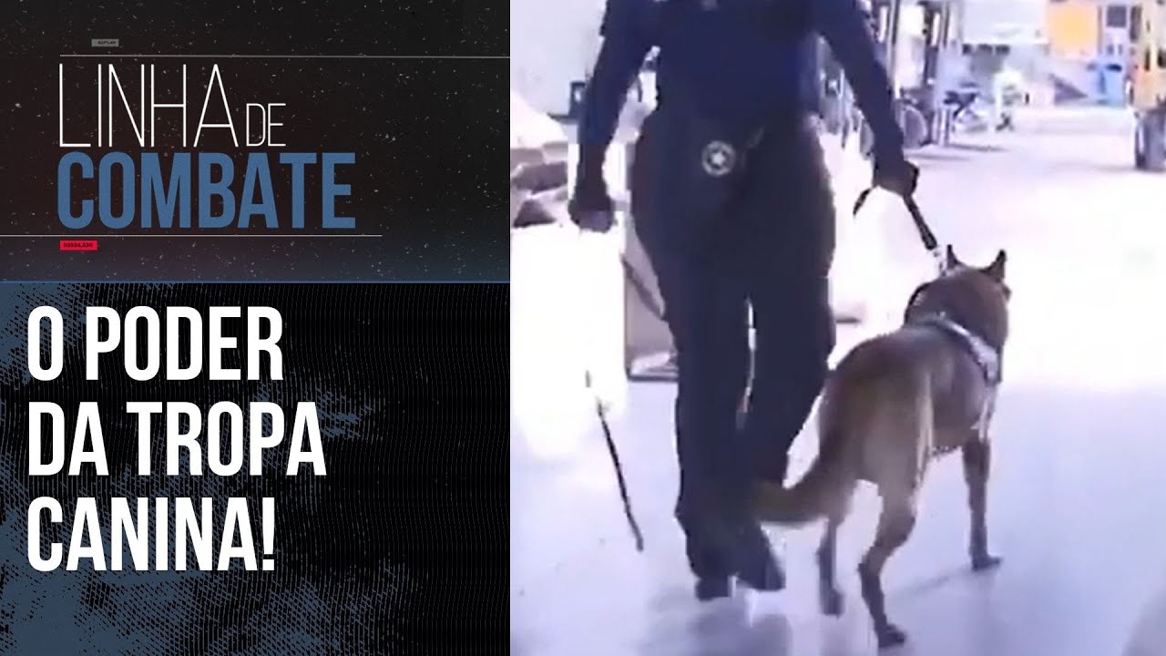 K9S: COMBATE AO TRÁFICO, ADVERSIDADES E DESAFIOS | LINHA DE COMBATE