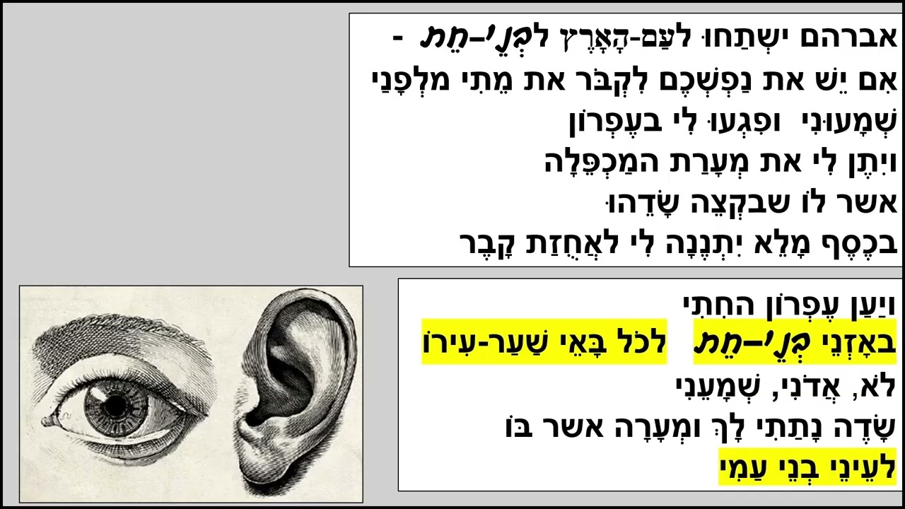 בראשית כג סיכום לבגרות בתנ"ך. אברהם קנה את מערת המכפלה מעפרון החתי