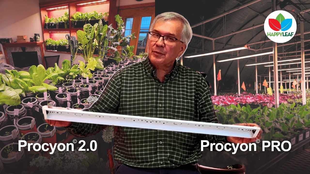 Procyon 2.0 vs. Procyon PRO: Which LED Grow Light Fits Your Growing Needs?