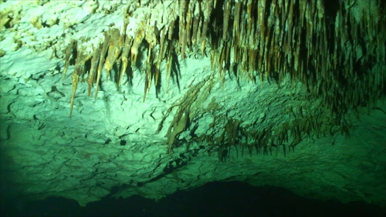 Under the Jungle  Part 3