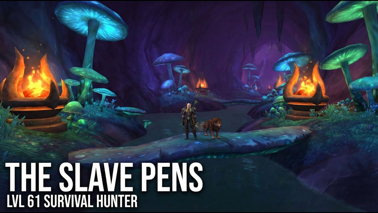WoW TBC Classic: Slave Pens DPS POV - Lvl 61 Survival Hunter