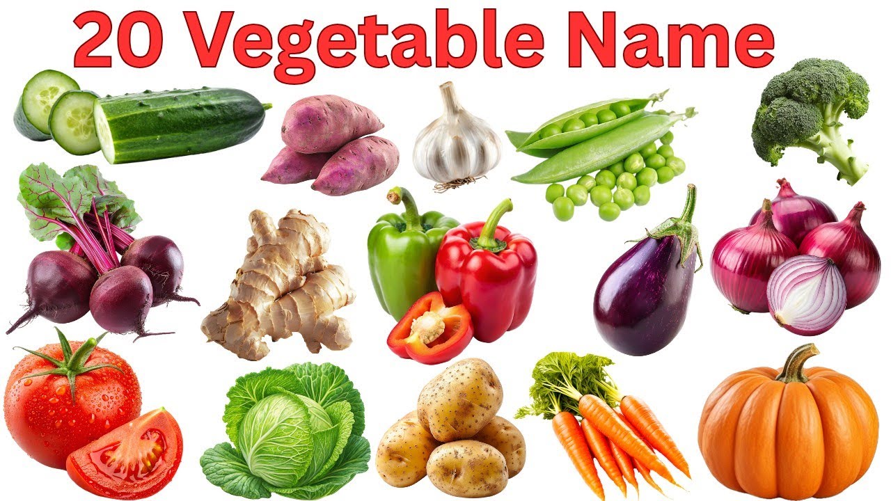 20 सब्जियों के नाम | Learn Vegetables in Hindi & English | Kids Learning Video