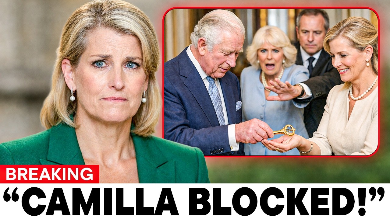 1 MIN AGO: King Charles Appoints Sophie Guardian of Royal Charities BLOCKS Camilla's Access