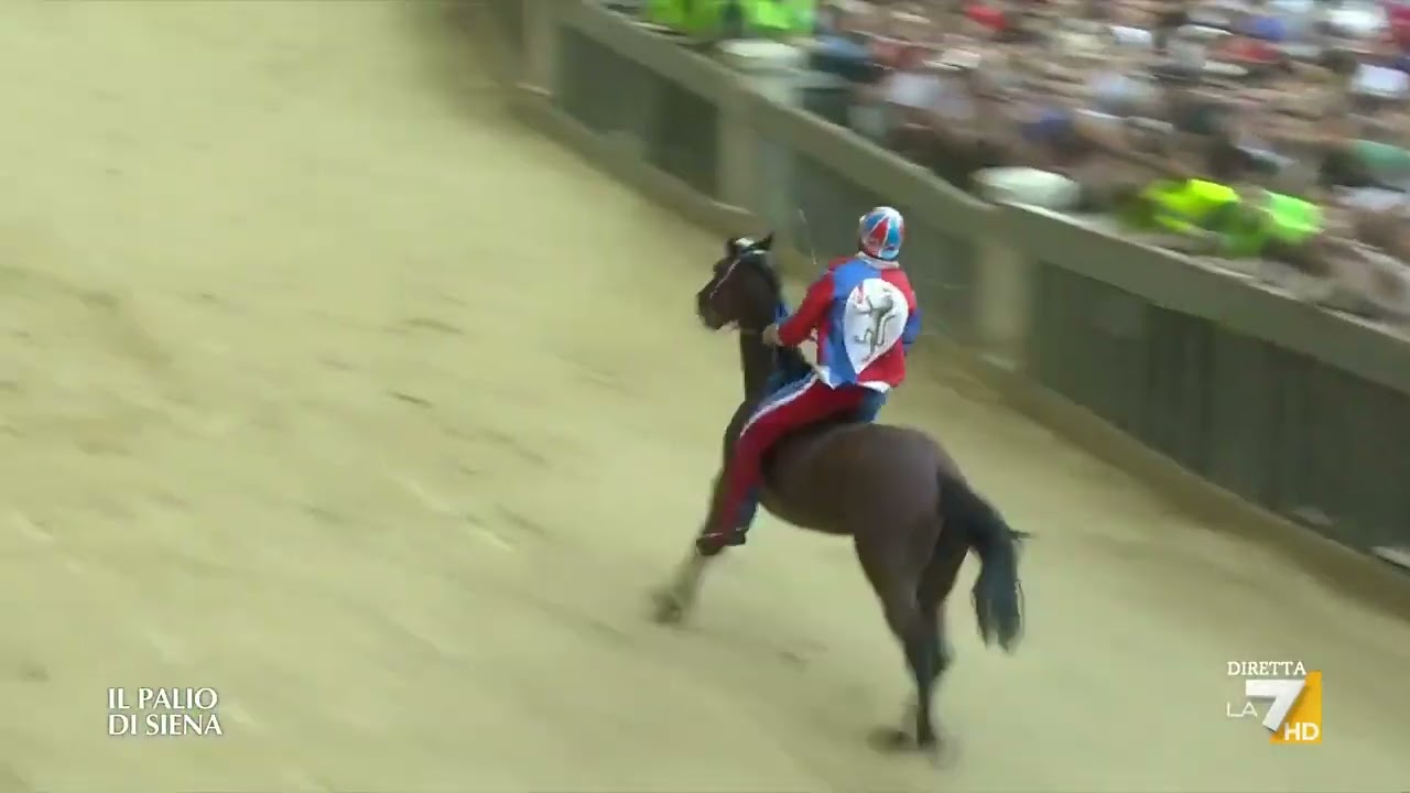 Palio di Siena dell'Assunta, l'Oca vince dopo 4 anni di assenza
