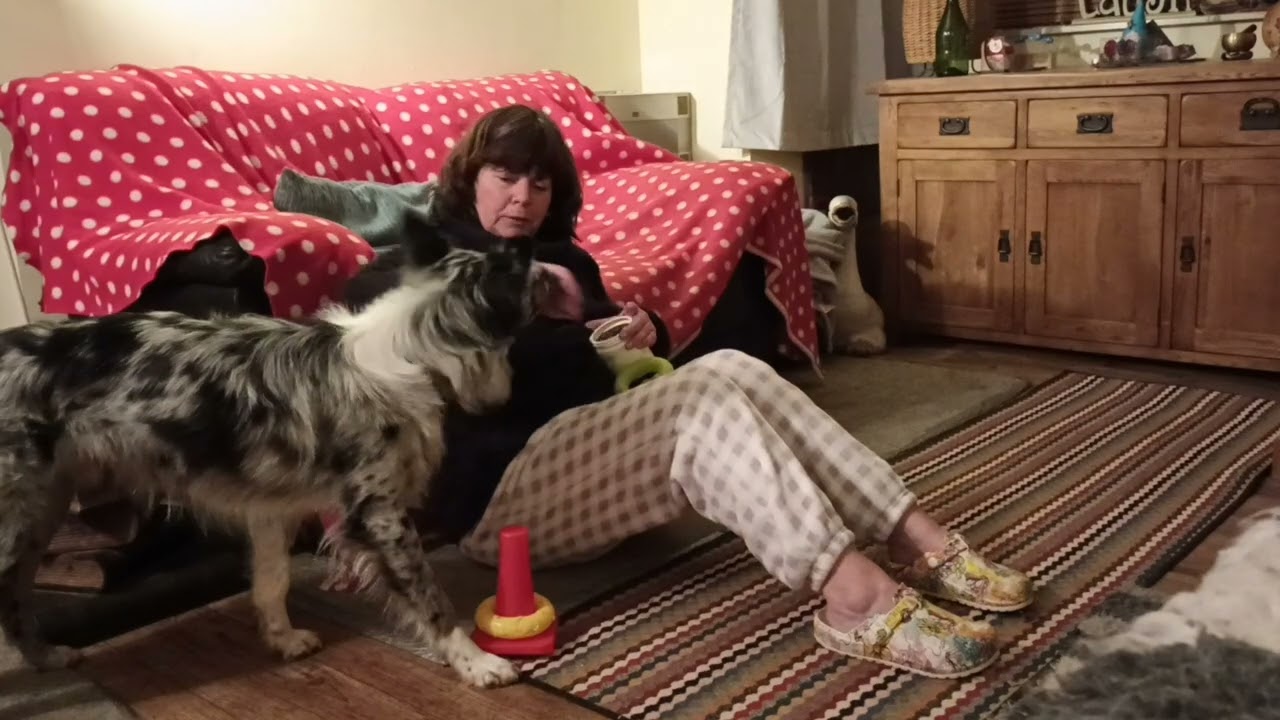 Chew-ee - stacking toy