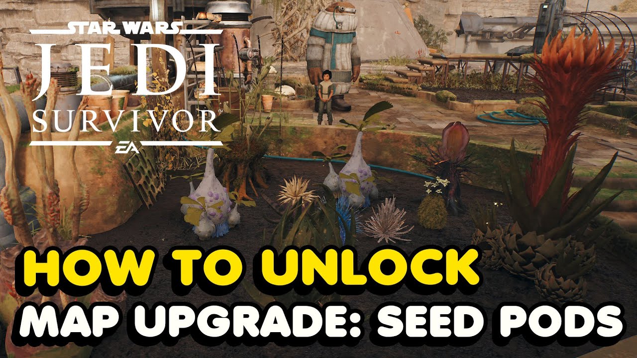 How To Unlock 