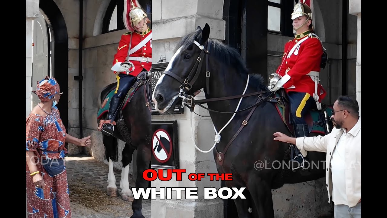 Top Moments Canadian Guards Handled Rule-Breaking Tourists in the White Box.