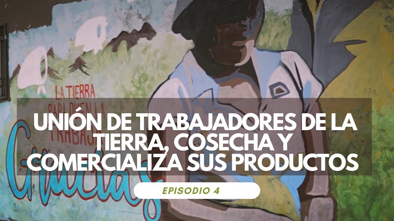 Cómo la Unión de Trabajadores de la Tierra, cosecha y comercializa sus productos | Episodio 4
