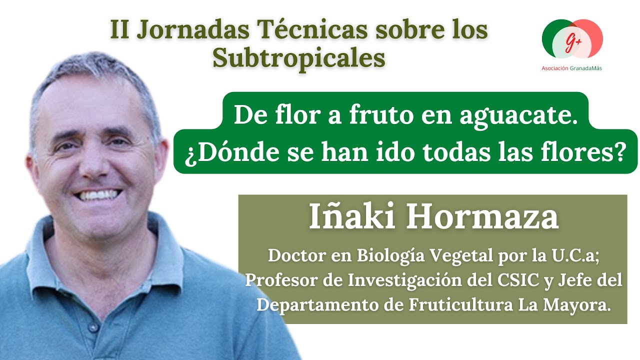 09   De flor a fruto en aguacate  &iquest;D&oacute;nde se han ido todas las flores?. I&ntilde;aki Hormaza
