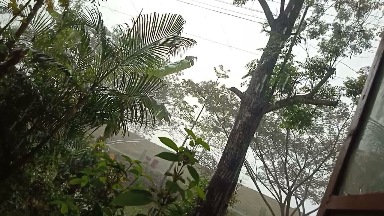 Assam's Rain