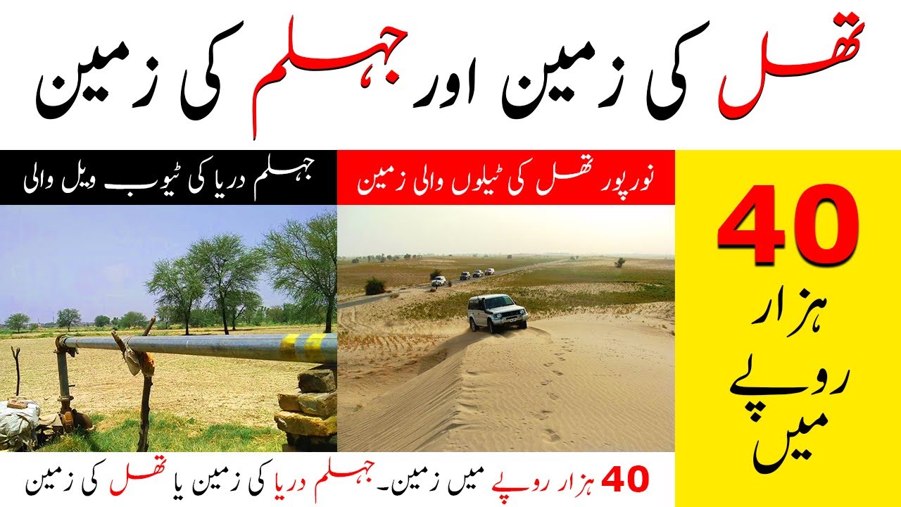 Cheap land in Pakistan - Agriculture land - Zari Rakhba - Land - Jhelum River Land Noorpur Thal land