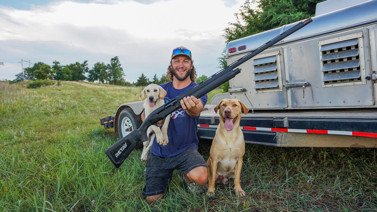 Introducing Your Labrador PUPPY to Gun Fire!!