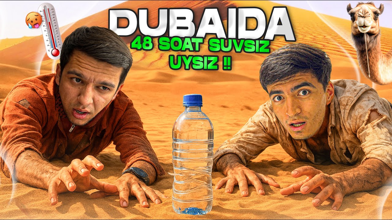 DUBAYDA 48 SOAT PULSIZ va UYSIZ