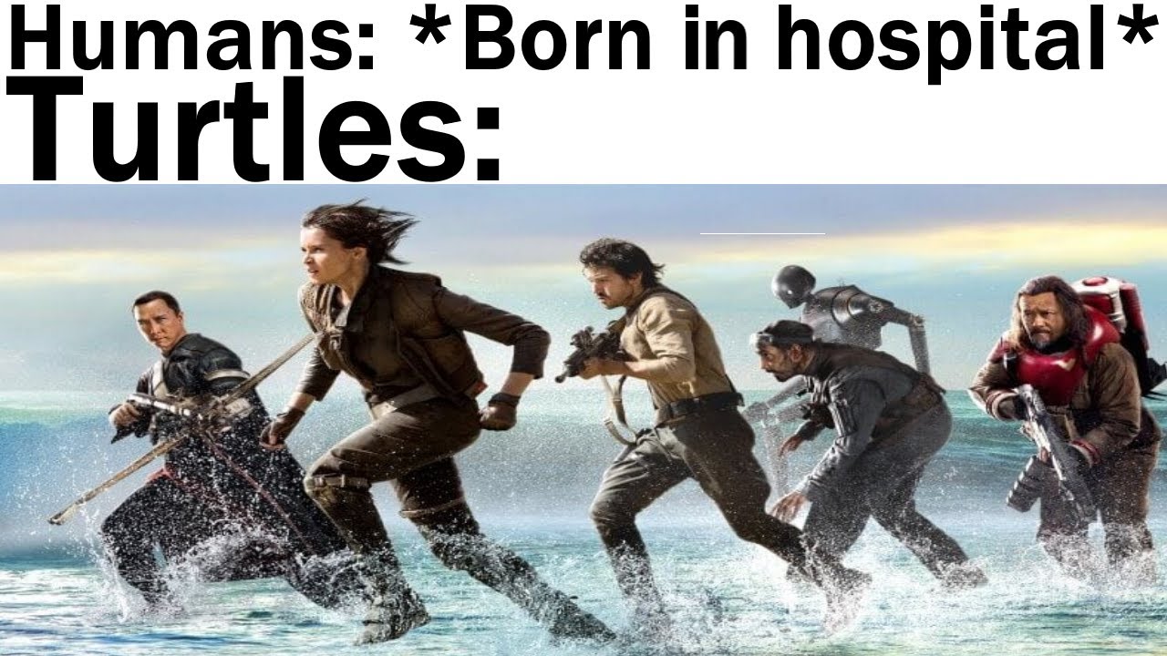 Star Wars Memes The Empire Banned