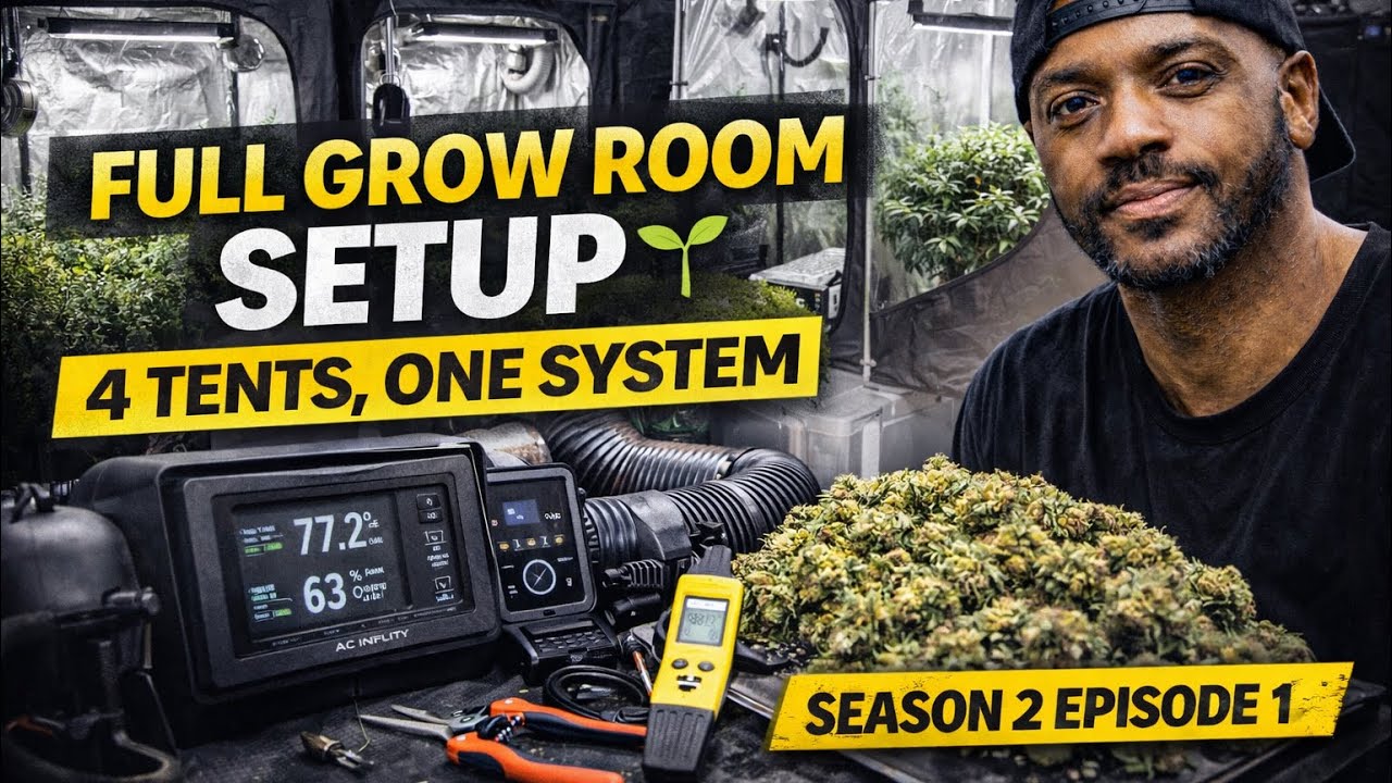 Full Grow Room Setup 🌱 | 4 Tents, One System (Kush & Beans Season 2 Ep.1)