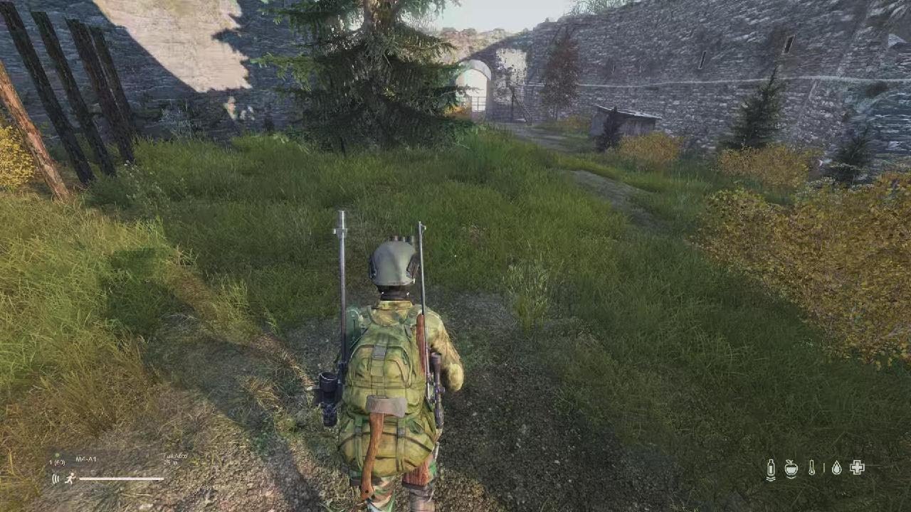 DayZ_20260221163006