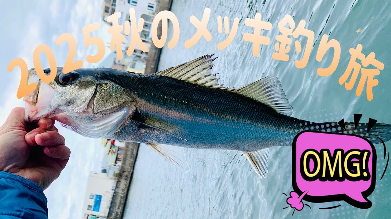 2025秋 江の島メッキ釣り旅【#メッキ釣り #釣り旅 #ルアーフィッシング #江の島 #片瀬江ノ島 】