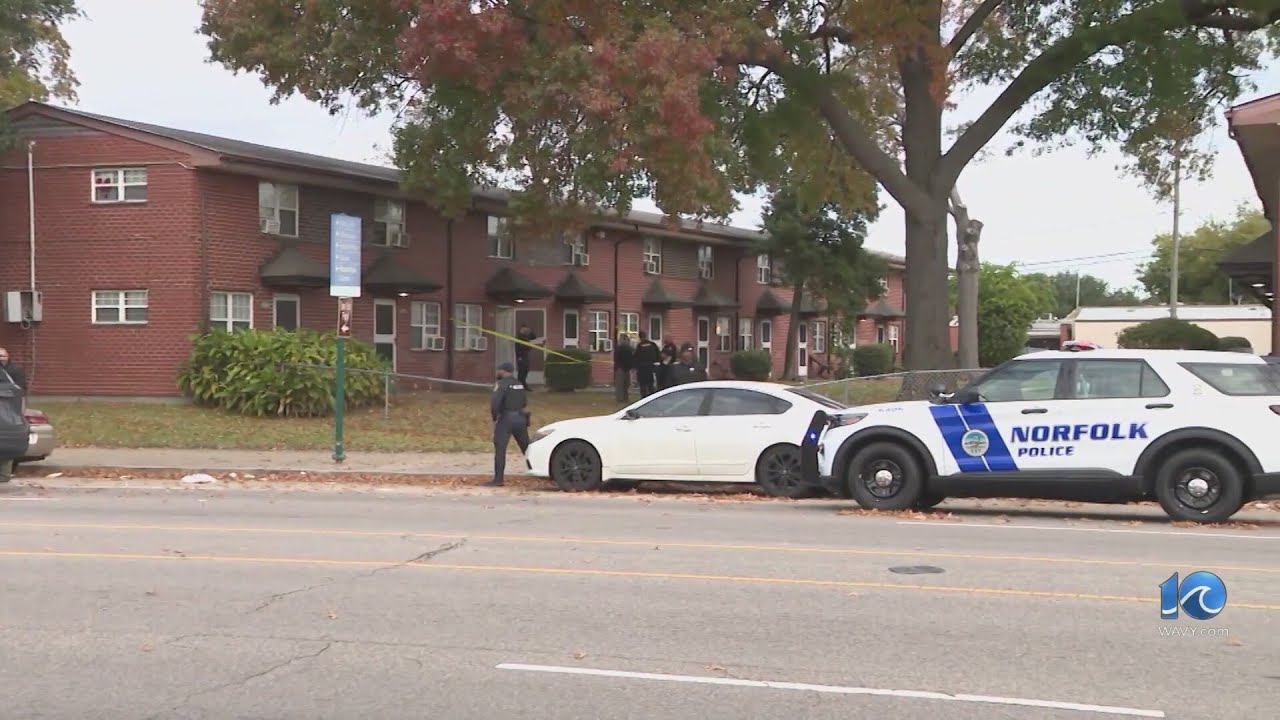 Woman dead on Brambleton Ave following domestic-related stabbing: NPD