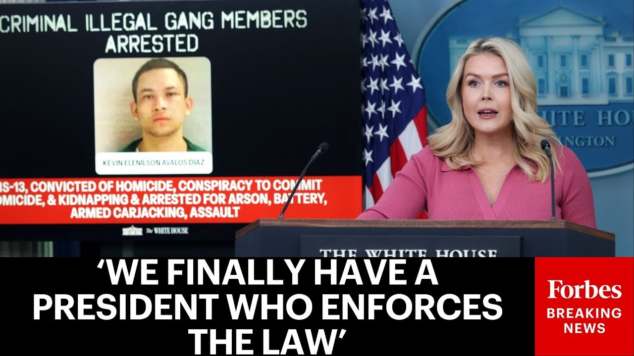 'It's A Night And Day Difference': Karoline Leavitt Boasts High Number Of Border Arrests Under Trump