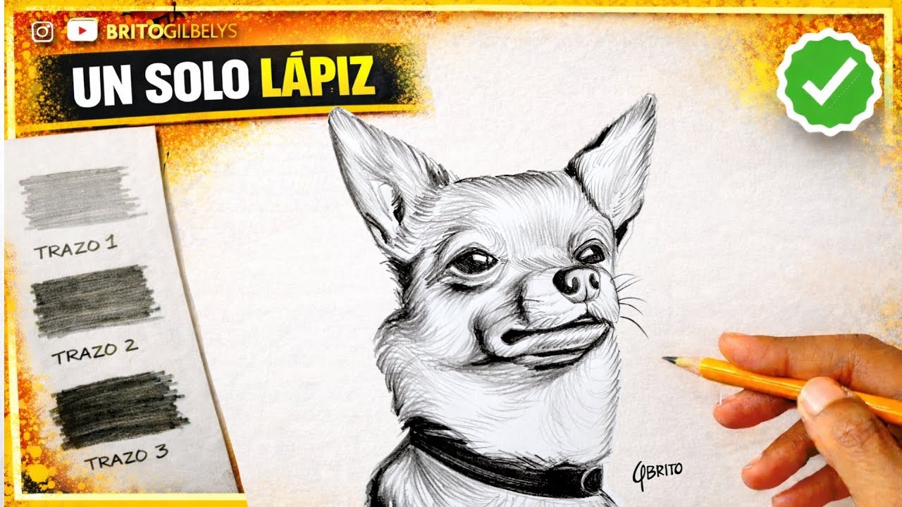 Cómo Dibujar un CHIHUAHUA Realista con UN SOLO LÁPIZ ✏️ Paso a Paso y muy FÁCIL | Capitulo 40