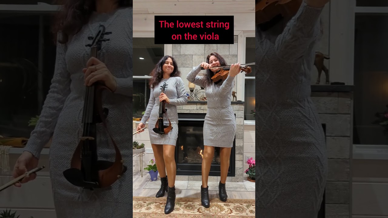 Electric violin vs acoustic viola #shorts
