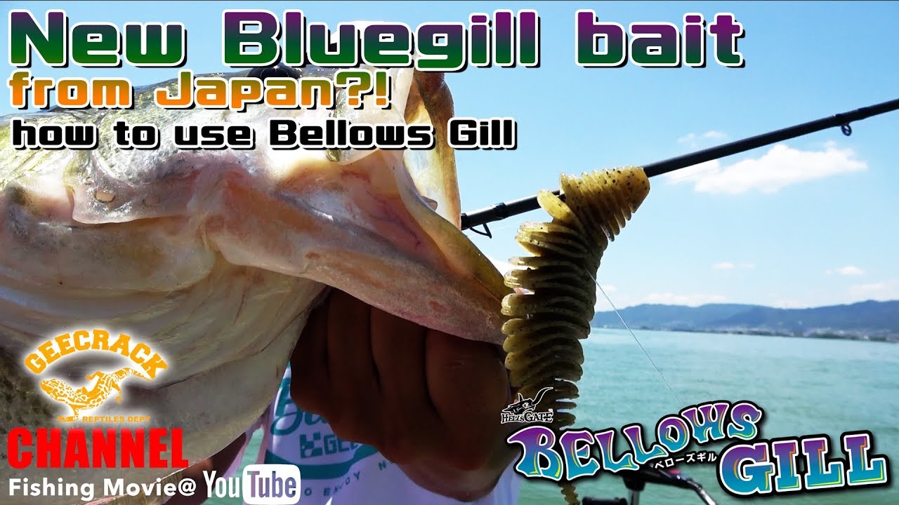 New Bluegill bait from Japan?! - how to use Bellows Gill - GEECRACK