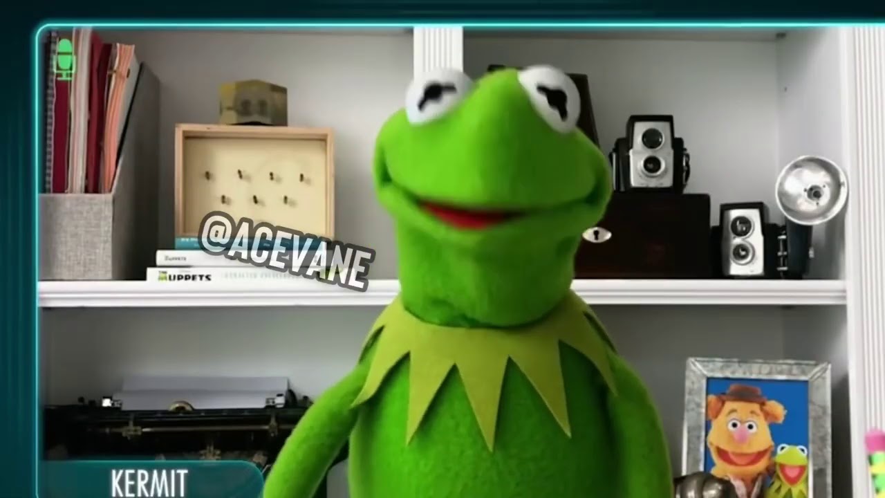 Встреча маппетов AceVane