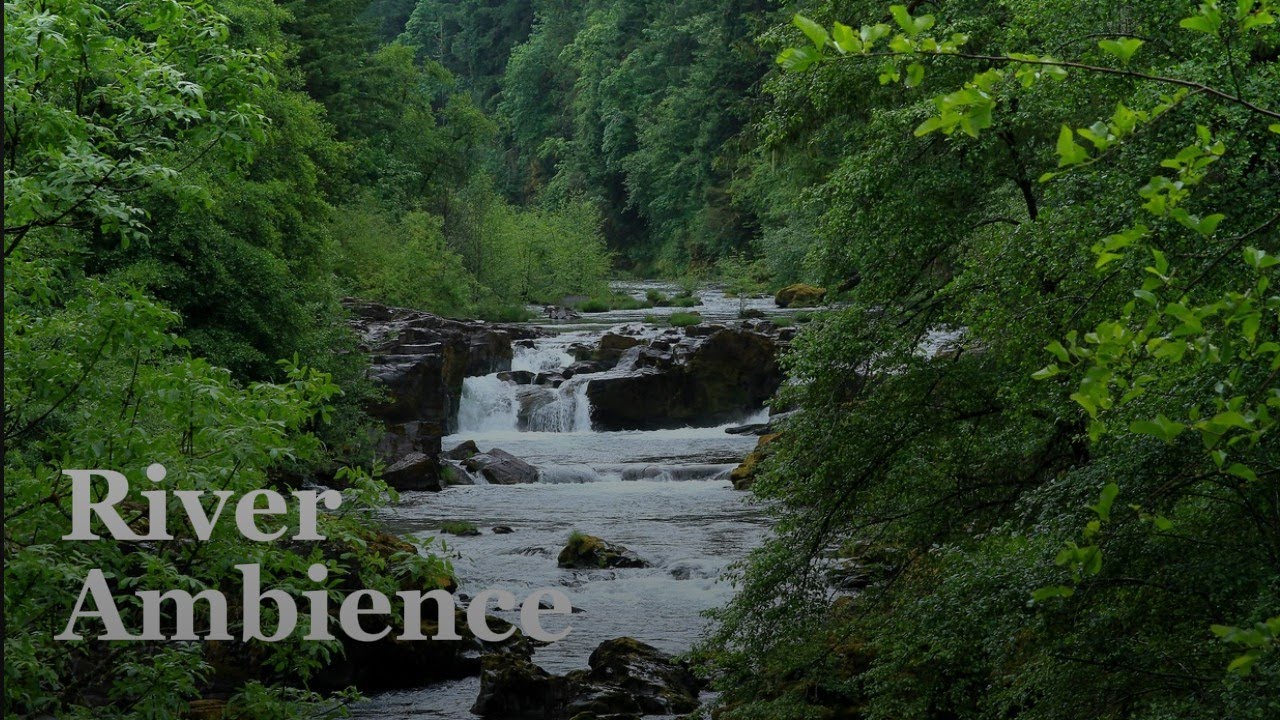 Gentle River Flow in the Mountains 🌿 | 3 Hours of Relaxing Water Sounds for Sleep & Study