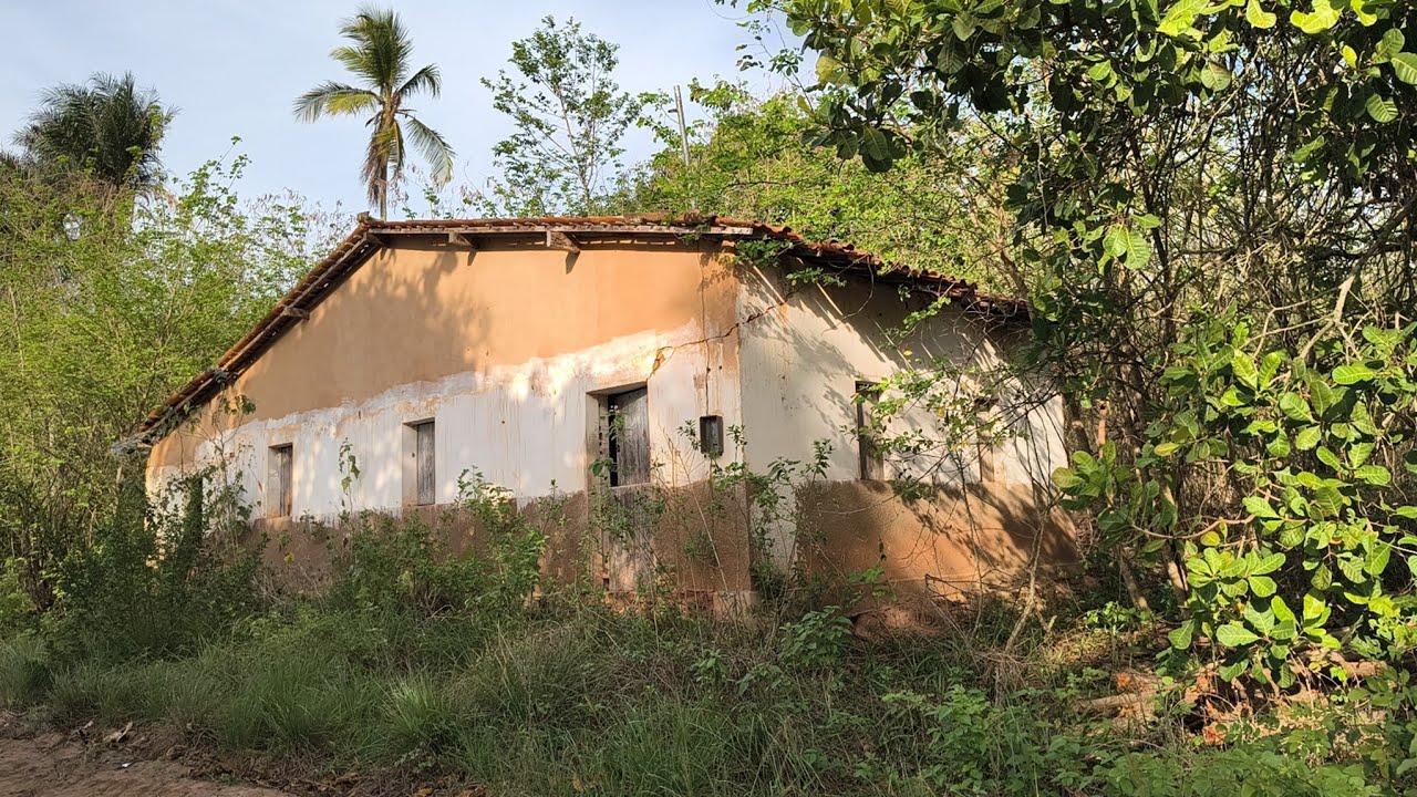 Casa abandonada no meio do mato, aqui morou Paizinho Eloy 