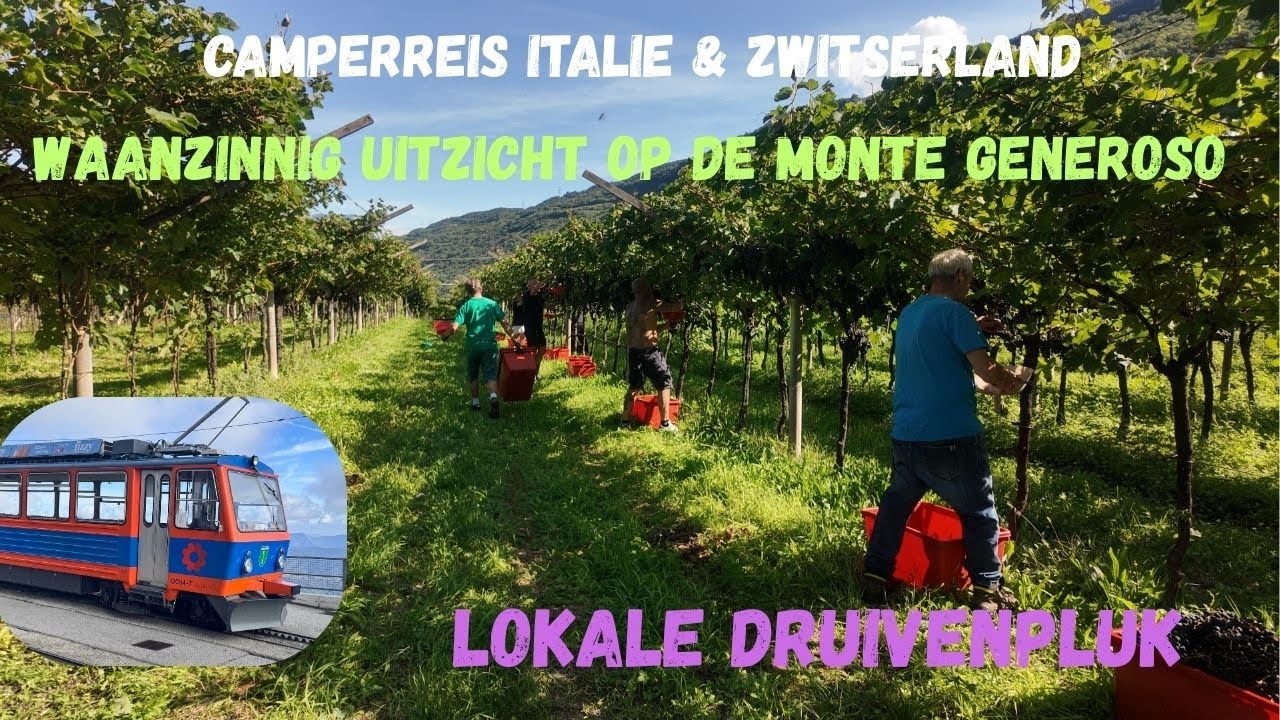 16. SPECTACULAIR UITZICHT ⛰️ ✨ CAMPERREIS 🚐 & DRUIVENPLUK ITALIE 🇮🇹💚 🍇