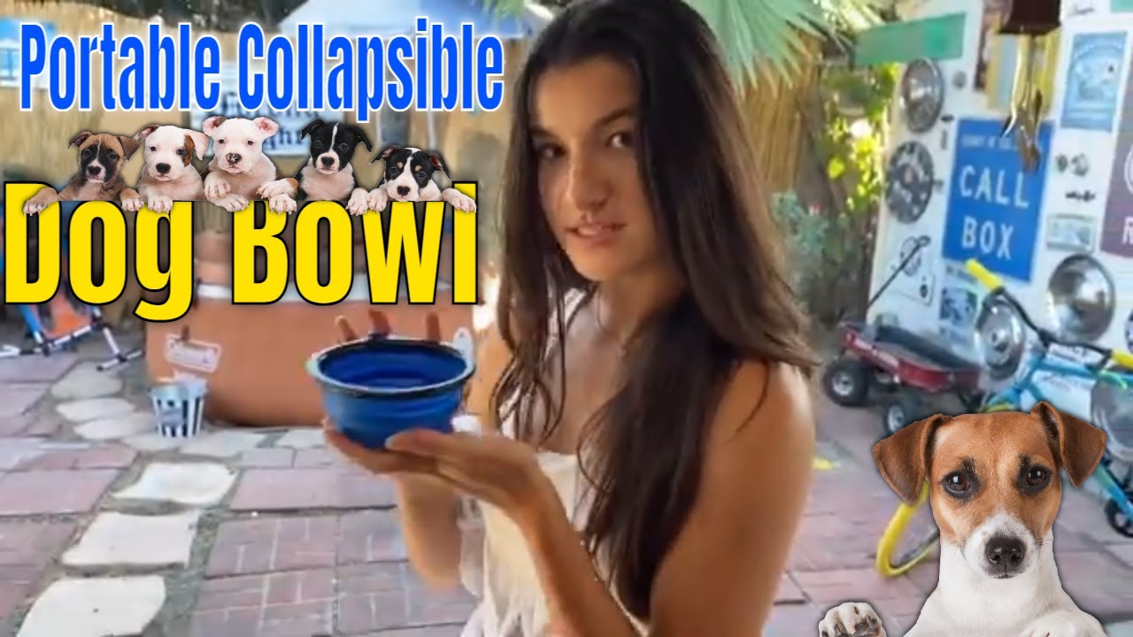 Portable Collapsible Dog Bowl: The Perfect Way To Feed Or Give Your Dog Water On The Go!