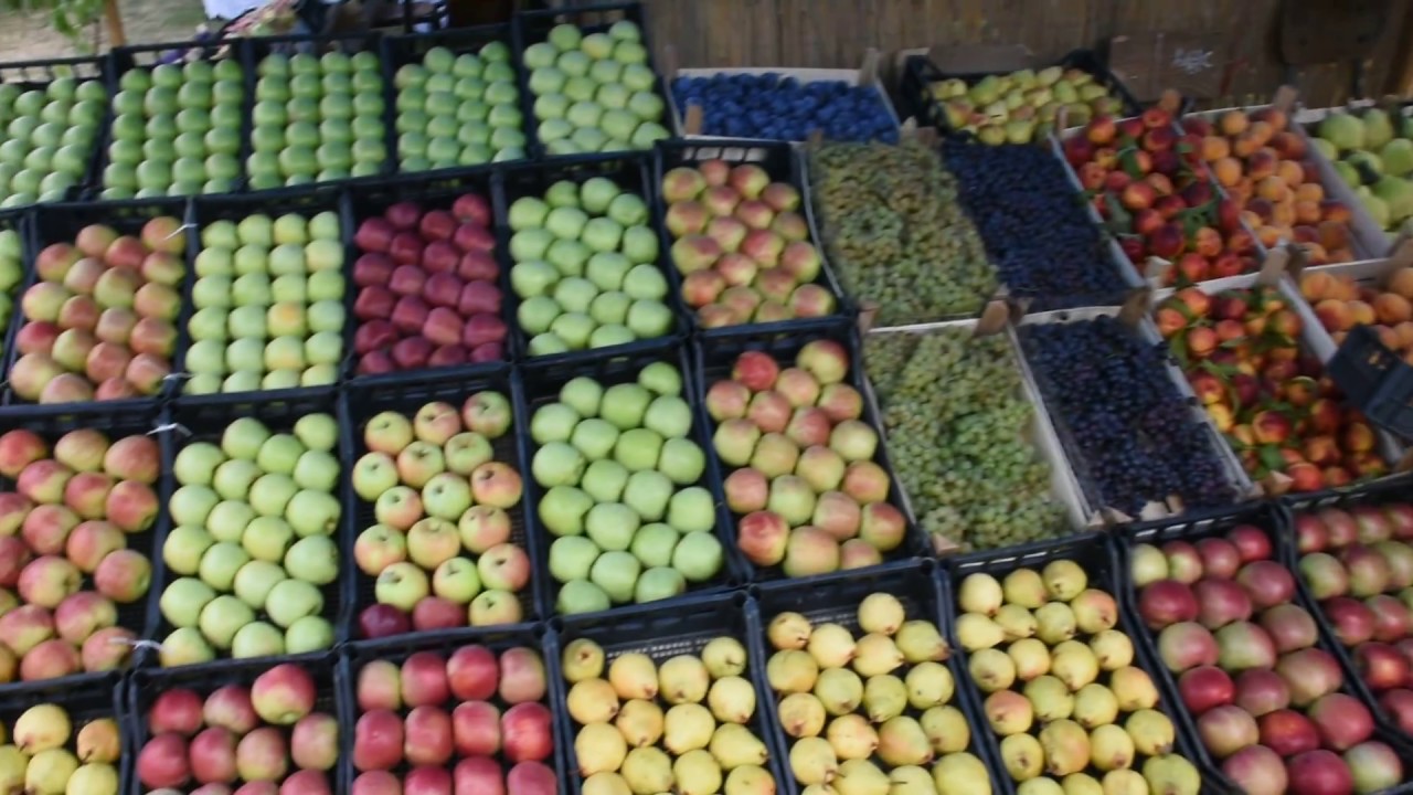 SELO UDOVICE @ SMEDEREVO 129. Smederevska Jesen 10 09 2016 SDinfo Video