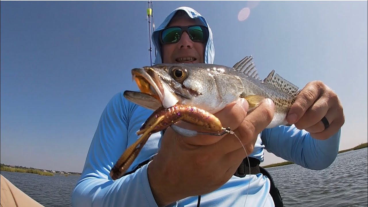 The speckled trout are coming back in!