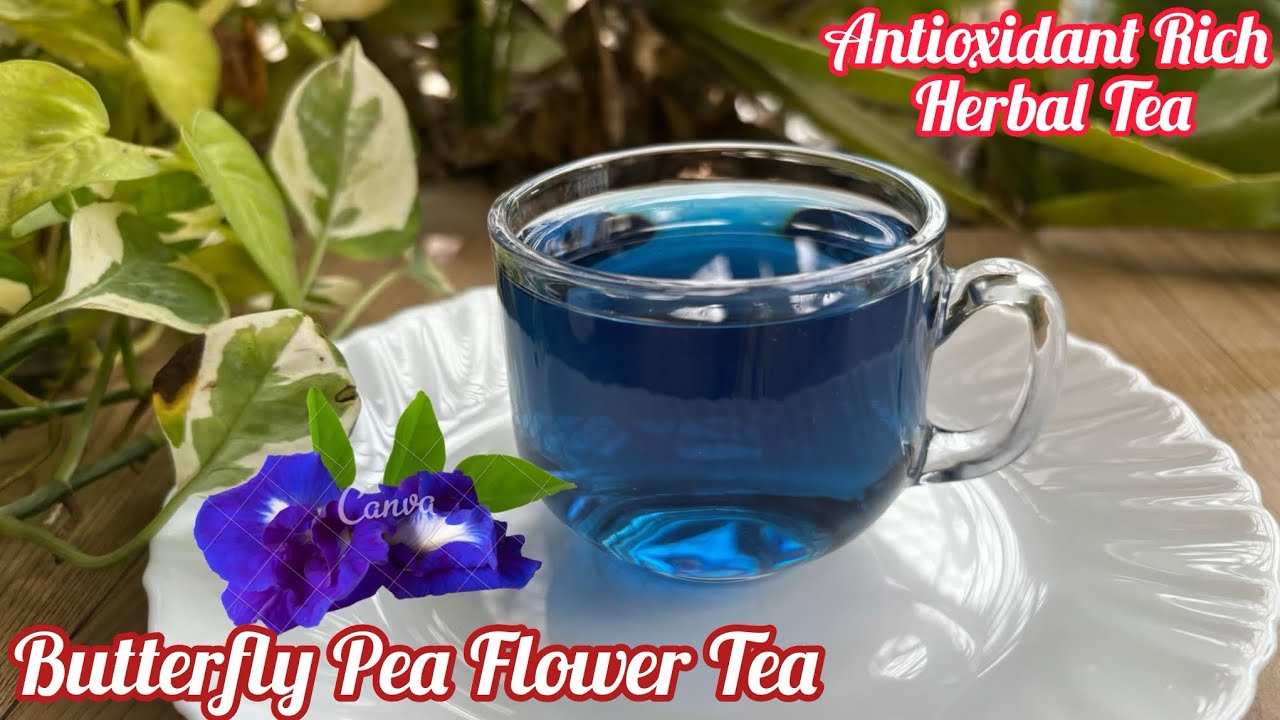 Blue Tea Recipe | Controls Blood Sugar & Cholesterol | Butterfly Pea Flower Tea Uses & Benefits 