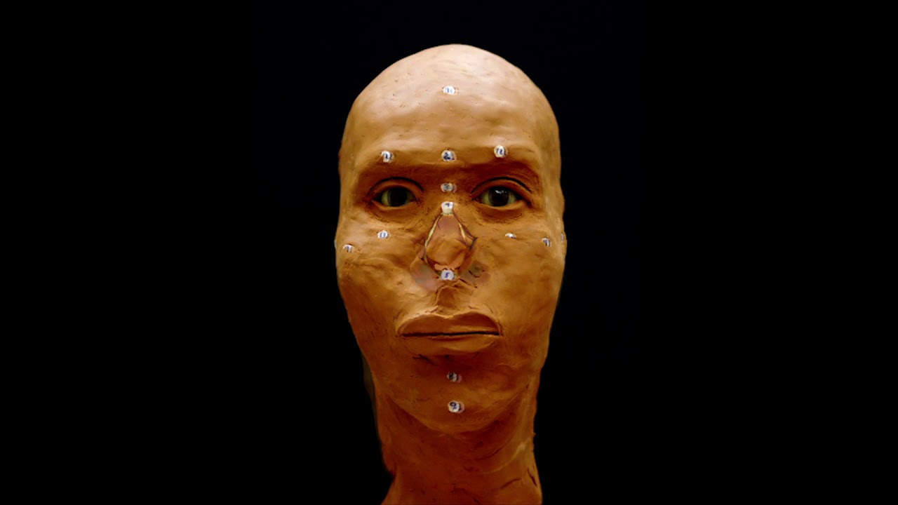 Forensic Art - Facial Reconstruction Timelapse