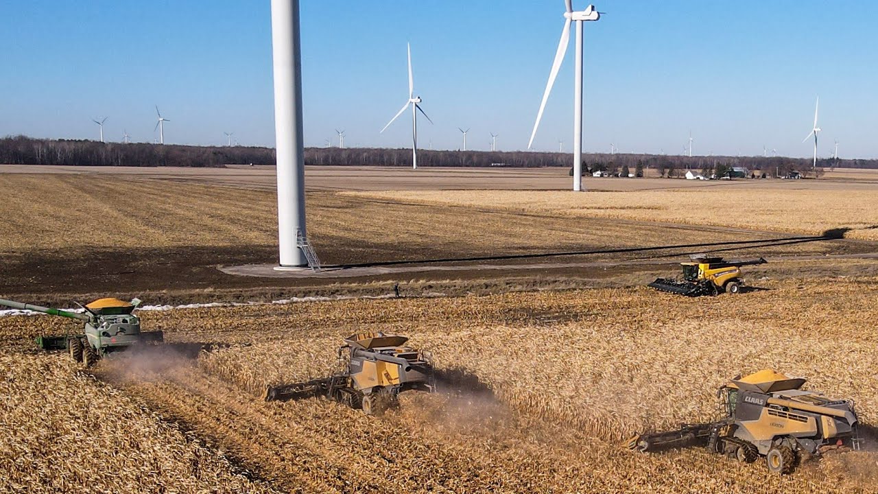 4 Combines harvesting corn in Michigan!