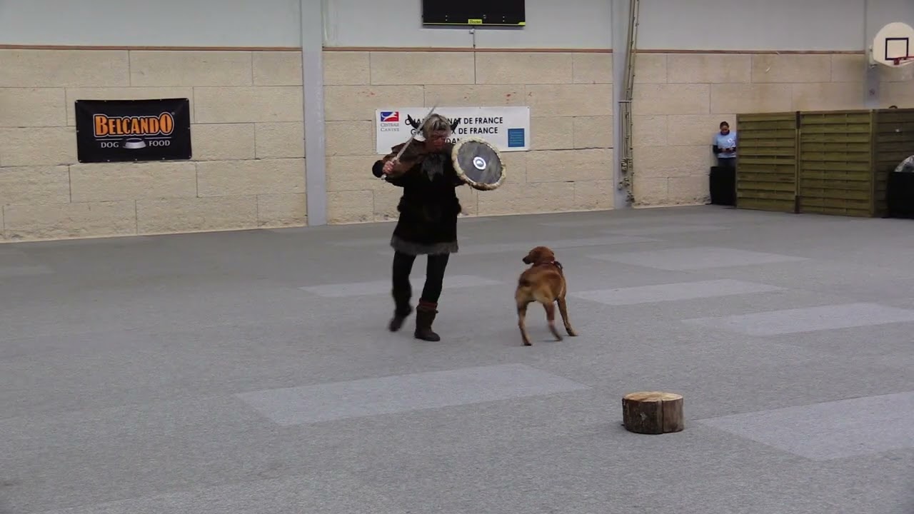 Grand Prix de France Freestyle intermediate 1er