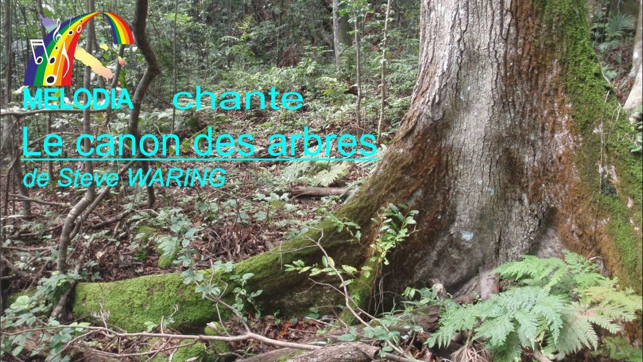 Le canon des arbres - (Steve WARING  Cover) - Chorale Mélodia de Nouvelle-Calédonie