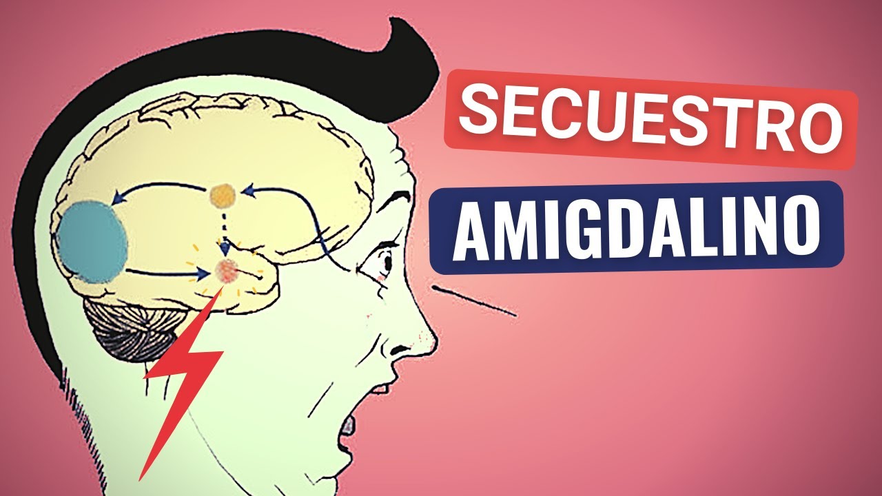 Amígdala y Neuromotricidad.