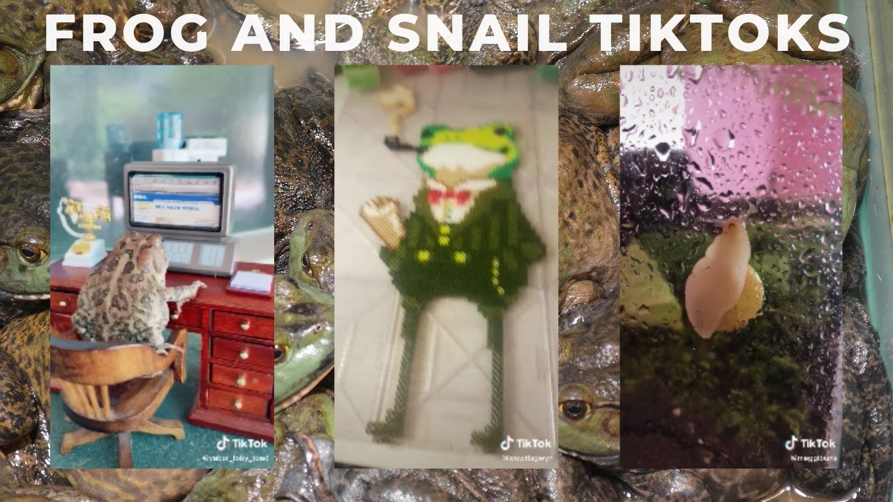 A TikTok Compilation but it's Literally Just Frogs and Snails