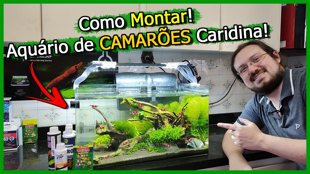 Como Montar um Aquário de Camarões CARIDINAS! - Red Crystal