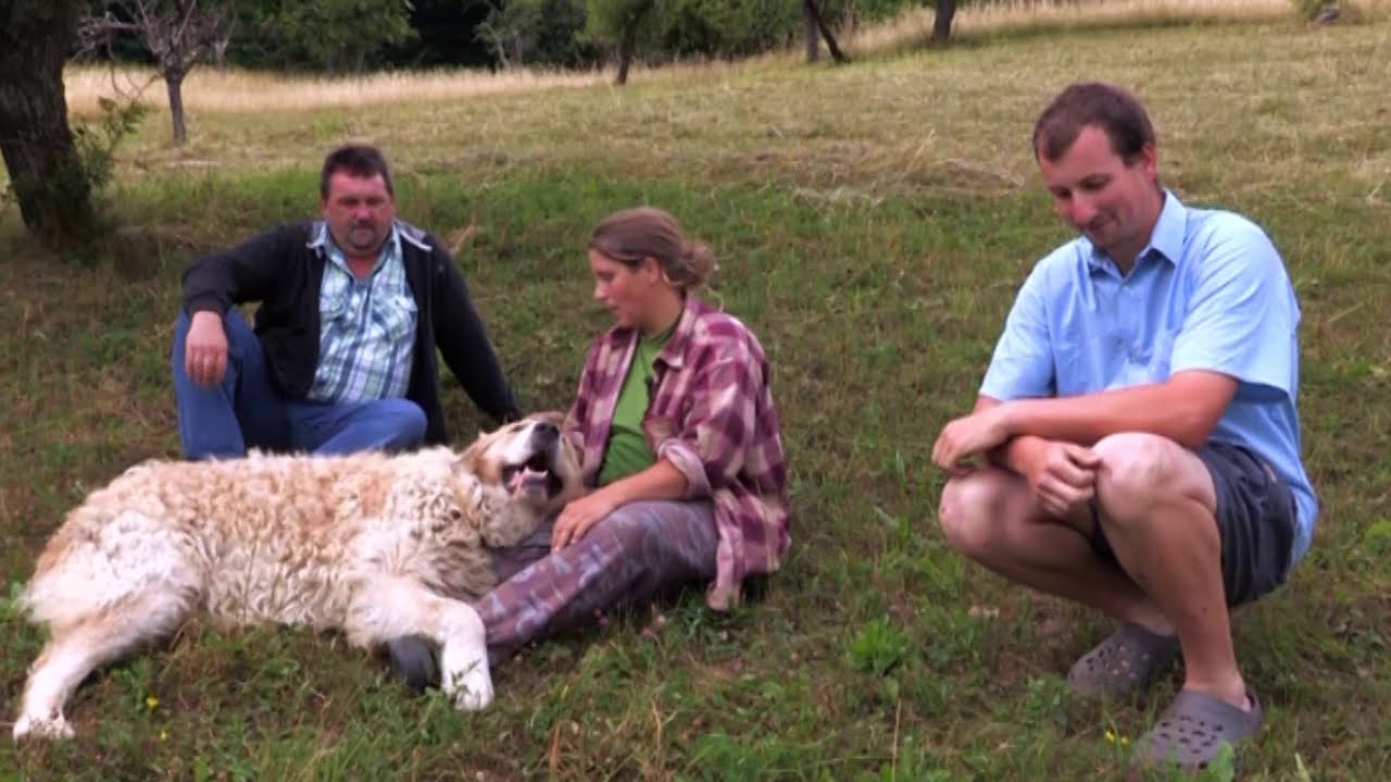 Maroš zúri, lebo za Jankou prišiel ďalší nápadník (FARMÁR HĽADÁ ŽENU)