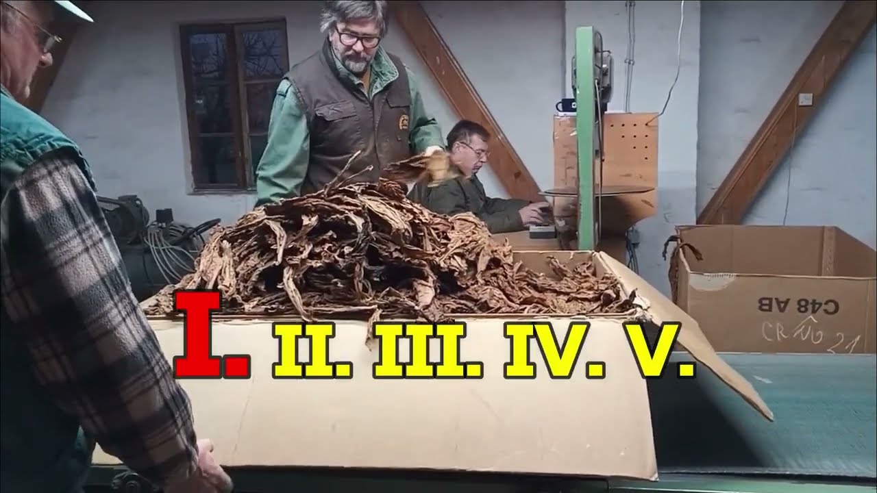 Dohány osztályozás
