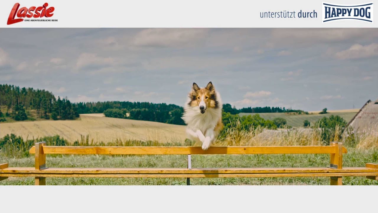 Mit Lassie am Filmset | unterstützt durch Happy Dog